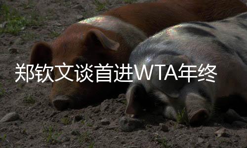 郑钦文谈首进WTA年终总决赛:先把身体与精神恢复到最佳状态