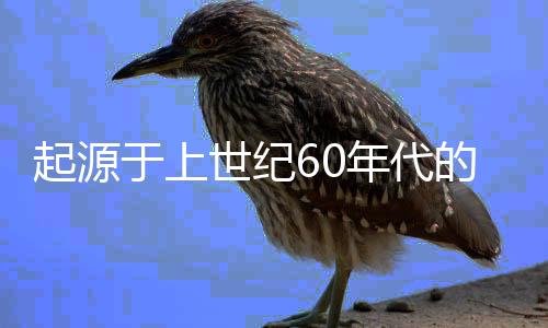 起源于上世纪60年代的掼蛋,变成年轻人社交场“重头菜”